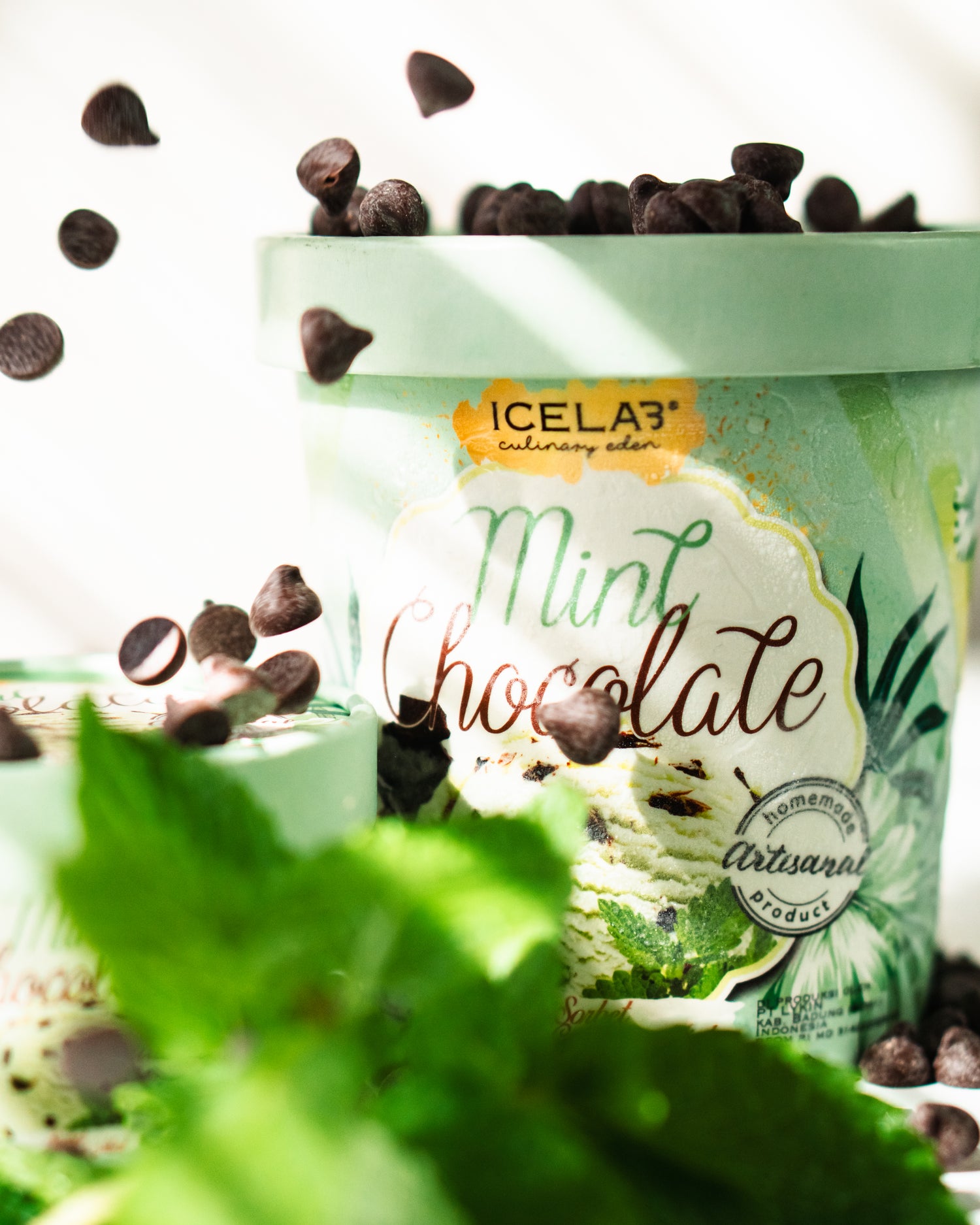 Mint Chocolate Gelato with natural chocolate